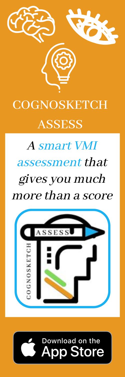 Cognoskectch Assess - A Smart VMI assessment that gives you much more than a score.